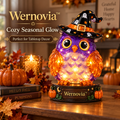 Wernovia™ Illuminated Glass Owl Witch Hat LED Night Light